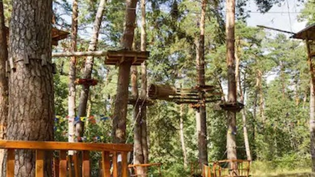 Une structure bowl et un parcours d'aventure en forêt construits en 2020 à Rimouski