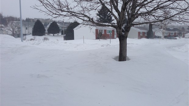 La frénésie de la météo