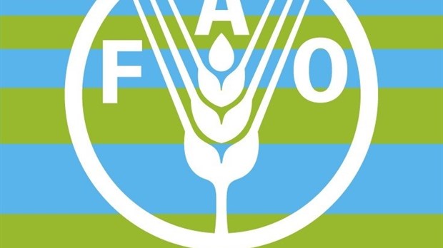16 octobre: Journée mondiale de l'alimentation 
