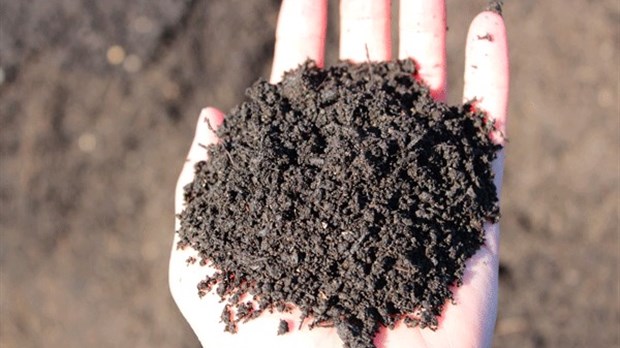 Succès retentissant pour la distribution de compost à Rimouski 