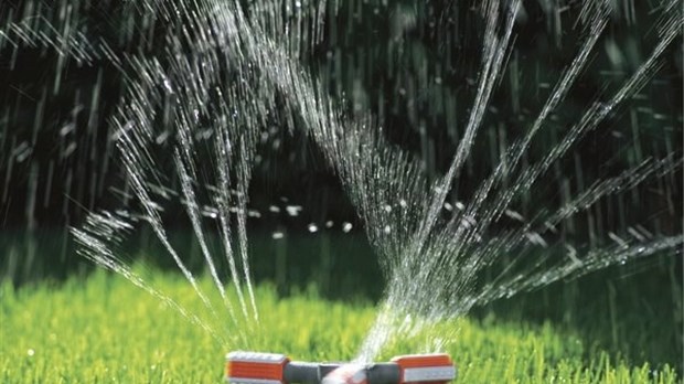 Utilisation de l'eau et arrosage 