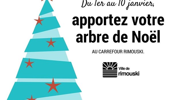 Récupération des arbres de Noël 