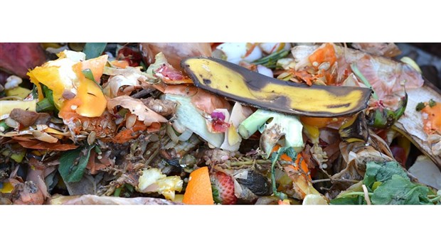 Activités organisées dans le cadre de la Semaine québécoise de réduction des déchets