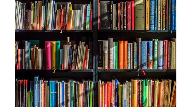 20 ans d'évolution dans les biblios de Rimouski 