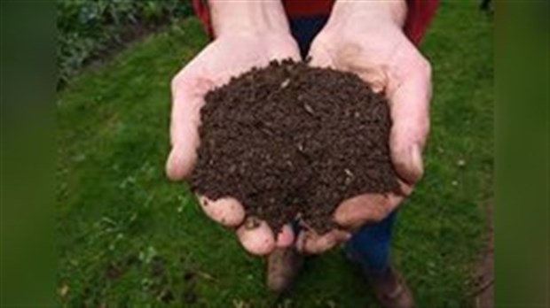 Début de la période de distribution printanière de compost le 16 mai