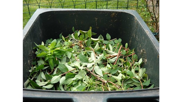 Le compost toujours aussi populaire à Rimouski