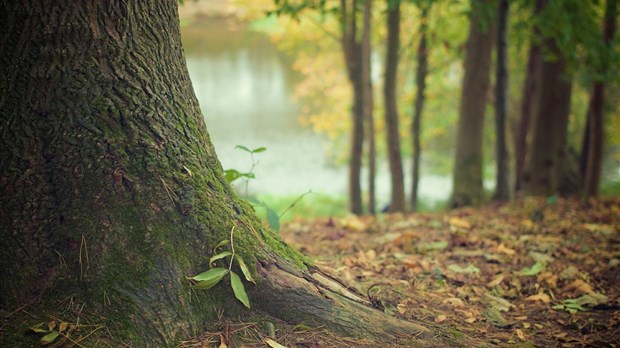 Le Conseil de l'environnement vous invite à renouer avec la nature!