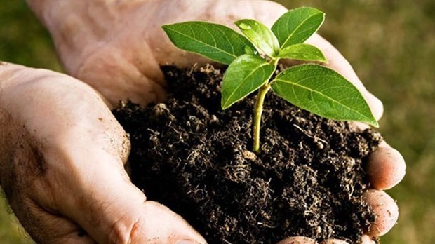 Journée environnementale et culturelle au Marché public avec la Ville de Rimouski