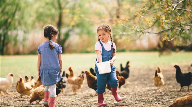 125 470 $ pour favoriser le contact entre les jeunes du Bas-Saint-Laurent et l’agriculture