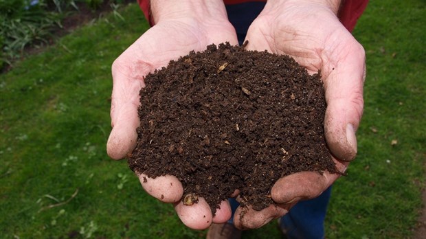 Nouvelle distribution gratuite de compost à l'écocentre