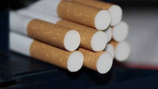 Contrebande de tabac : 18 200 cigarettes saisies à Amqui 