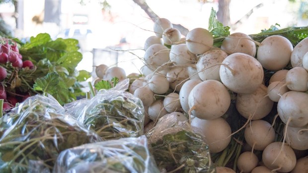 La 11e Semaine québécoise des marchés publics  arrive au Bas-Saint-Laurent