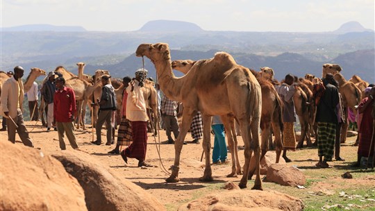 Spect'Art Rimouski invite au voyage en Éthiopie à travers une ciné-conférence