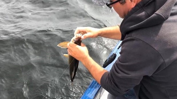 Rivière Touladi: la période de pêche au corégone change