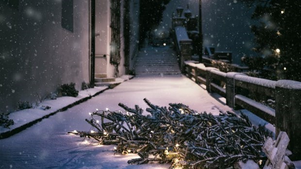 La collecte des ordures et des sapins de Noël modifiée à Rivière-du-Loup