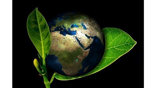 Top 5 de l’actualité scientifique de 2020