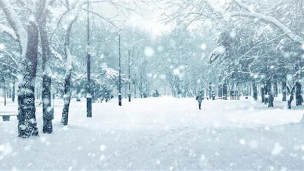 Tempête et vents violents: Rimouski s'organise