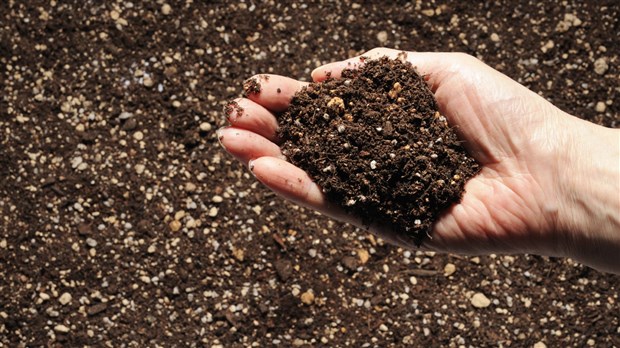 Rimouski maintient la distribution de compost gratuit le 11 mai