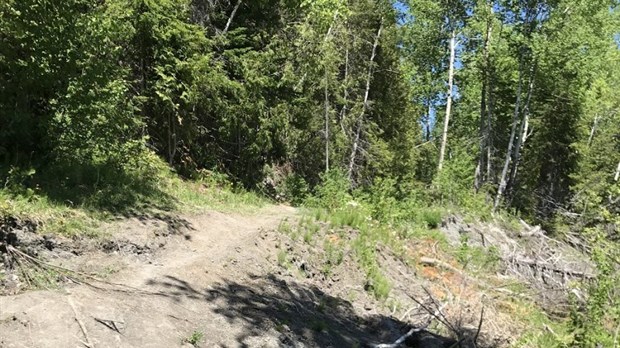 Relocalisation du sentier L’Éboulis : les travaux sont amorcés