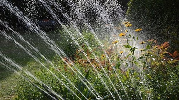 Eau potable : avis d’interdiction d’arrosage sur tout le territoire rimouskois