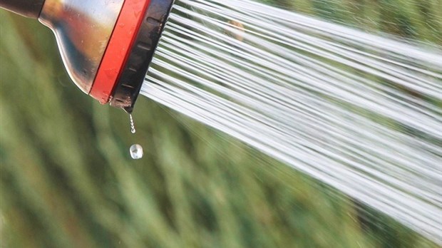 L'avis d’interdiction d’arrosage maintenu jusqu’à nouvel ordre à Rimouski
