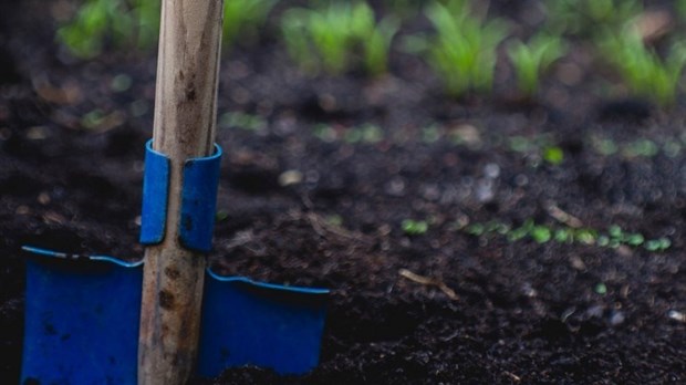 La distribution de compost à l’écocentre débute demain