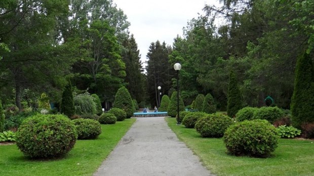 À Rimouski, des travaux d’abattage d’arbres au parc Lepage en cours