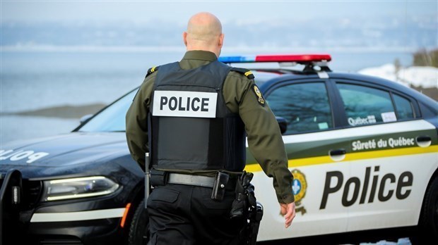 Des drogues et 12 armes à feu saisies lors d’une série de perquisitions