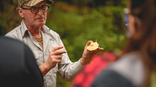 Un projet-pilote pour faire de la MRC de Kamouraska une destination mycotouristique