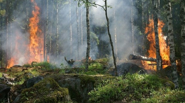Soyez prudents avec les brûlages du printemps, rappellent les services d’incendie