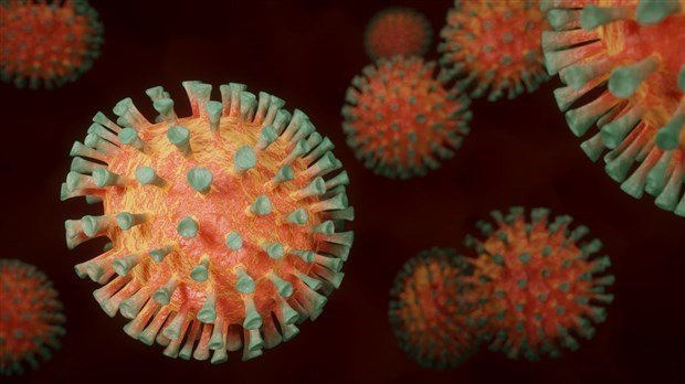 31 nouveaux cas et 403 cas de variants dans la région