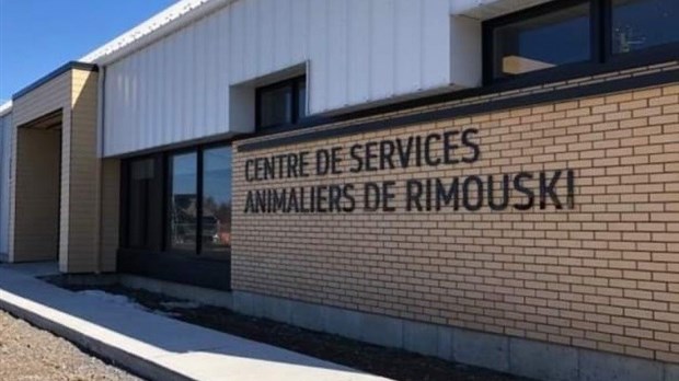 Le Centre de services animaliers de Rimouski déménage