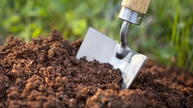 La distribution gratuite de compost débute à Rimouski