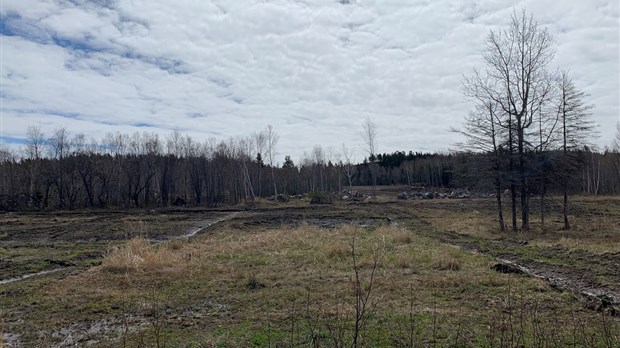 Nouvelle école à Rivière-du-Loup : le terrain maintenant choisi