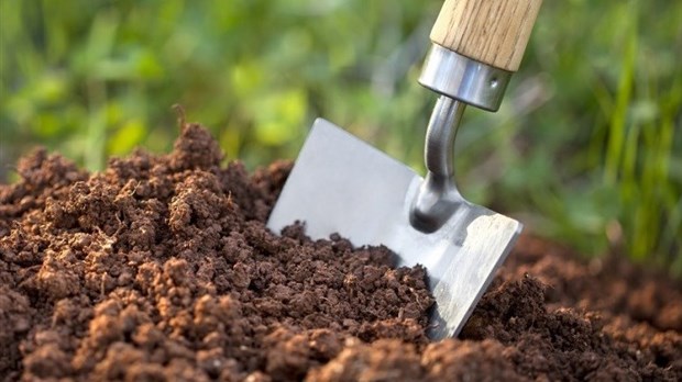 Le compost reste populaire à Rimouski