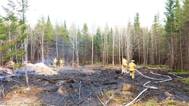 Bilan de mai: un nombre de feux de forêt dans la moyenne