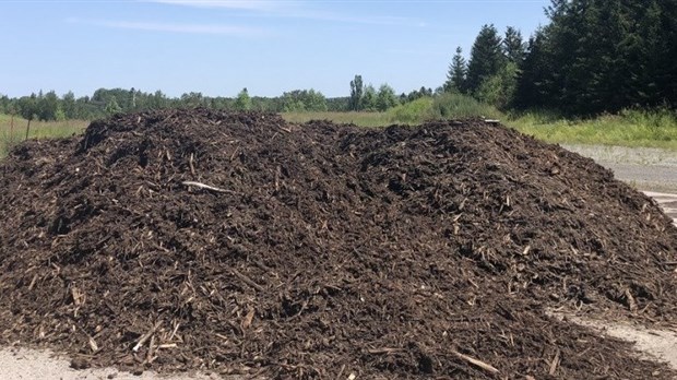 Distribution gratuite de copeaux de bois à l’écocentre de Rimouski