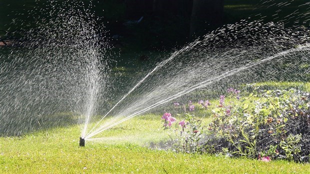 L’arrosage des pelouses maintenant interdit à Rivière-du-Loup