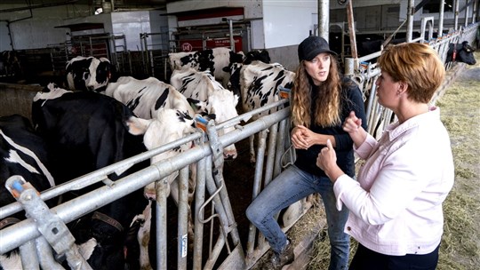 Quotas laitiers canadiens: les arbitres donnent raison aux États-Unis