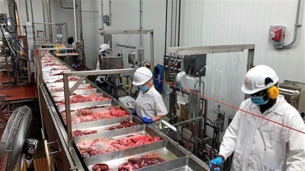 Ajustements des mesures sanitaires dans les milieux de travail