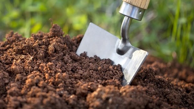 La distribution gratuite de compost commence ce mardi à Rimouski