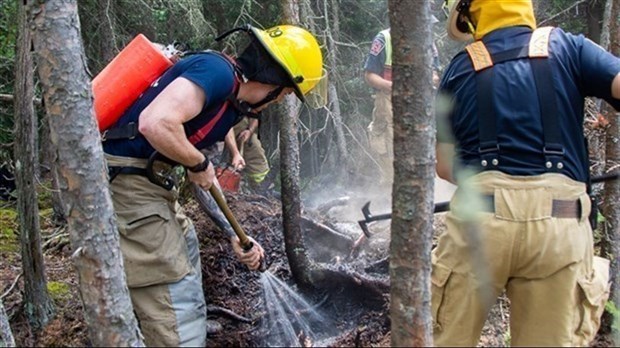 La SOPFEU rapporte une baisse importante des feux de forêt au Québec le mois dernier