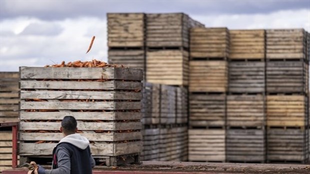 L'Union nationale des fermiers demande un revenu annuel garanti pour les agriculteurs