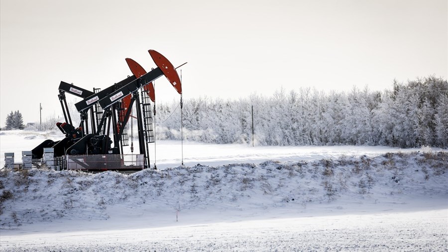 Environnement: 2025 a été l'année des reculs