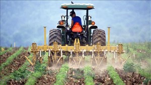 Les pesticides : prévenez les risques et cultivez votre avenir