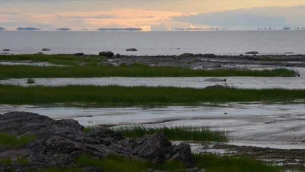 Environ une demi-tonne de déchets plastiques retirés de l'estuaire du Saint-Laurent