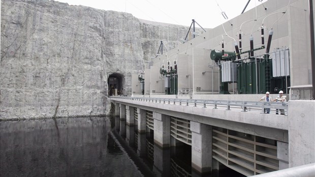 Des poissons de plus en plus en danger en raison des barrages hydroélectriques