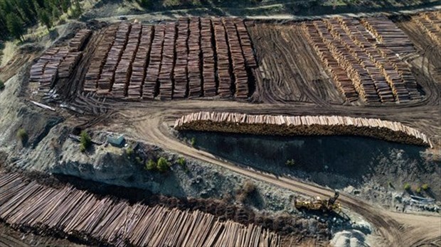 Bois d’œuvre: le Canada abandonne deux contestations face aux États-Unis