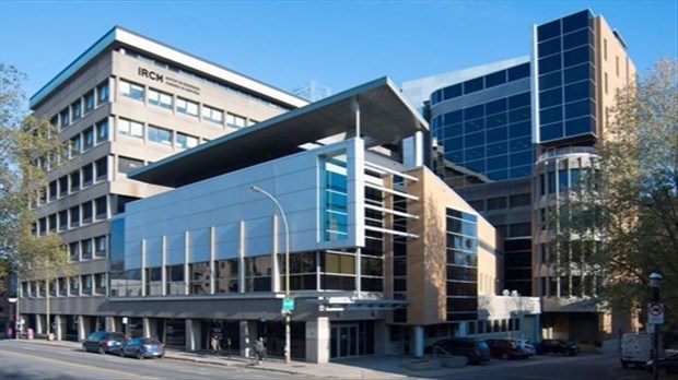 L'IRCM éclaircit le développement des yeux et du cerveau