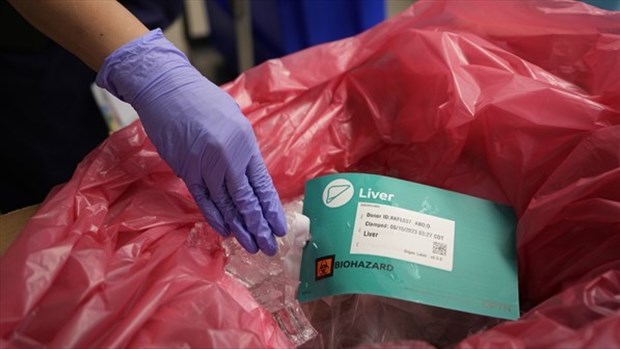 Légère baisse des dons d'organes au Québec en 2025
